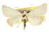  ( - CCDB-20812-F09)  @11 [ ] CreativeCommons - Attribution (2013) CBG Photography Group Centre for Biodiversity Genomics
