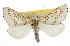  ( - CCDB-20813-F11)  @11 [ ] CreativeCommons - Attribution (2013) CBG Photography Group Centre for Biodiversity Genomics