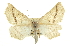  ( - CCDB-20813-G05)  @13 [ ] CreativeCommons - Attribution (2013) CBG Photography Group Centre for Biodiversity Genomics