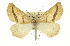  ( - CCDB-20813-G07)  @14 [ ] CreativeCommons - Attribution (2013) CBG Photography Group Centre for Biodiversity Genomics