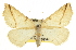  ( - CCDB-20813-H01)  @15 [ ] CreativeCommons - Attribution (2013) CBG Photography Group Centre for Biodiversity Genomics