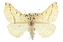  ( - CCDB-20813-H02)  @15 [ ] CreativeCommons - Attribution (2013) CBG Photography Group Centre for Biodiversity Genomics