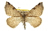  ( - CCDB-20813-H03)  @14 [ ] CreativeCommons - Attribution (2013) CBG Photography Group Centre for Biodiversity Genomics