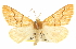  ( - CCDB-20815-A07)  @14 [ ] CreativeCommons - Attribution (2013) CBG Photography Group Centre for Biodiversity Genomics