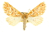  ( - CCDB-20815-A10)  @14 [ ] CreativeCommons - Attribution (2013) CBG Photography Group Centre for Biodiversity Genomics