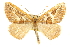  ( - CCDB-20815-B03)  @14 [ ] CreativeCommons - Attribution (2013) CBG Photography Group Centre for Biodiversity Genomics