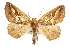  ( - CCDB-20815-B04)  @14 [ ] CreativeCommons - Attribution (2013) CBG Photography Group Centre for Biodiversity Genomics