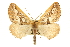  ( - CCDB-20815-B06)  @14 [ ] CreativeCommons - Attribution (2013) CBG Photography Group Centre for Biodiversity Genomics