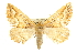  ( - CCDB-20815-B07)  @13 [ ] CreativeCommons - Attribution (2013) CBG Photography Group Centre for Biodiversity Genomics