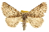  ( - CCDB-20815-C12)  @14 [ ] CreativeCommons - Attribution (2013) CBG Photography Group Centre for Biodiversity Genomics