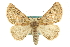  ( - CCDB-20815-D03)  @15 [ ] CreativeCommons - Attribution (2013) CBG Photography Group Centre for Biodiversity Genomics