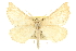  ( - CCDB-20815-E04)  @11 [ ] CreativeCommons - Attribution (2013) CBG Photography Group Centre for Biodiversity Genomics