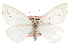  ( - CCDB-20815-F09)  @13 [ ] CreativeCommons - Attribution (2013) CBG Photography Group Centre for Biodiversity Genomics