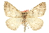  ( - CCDB-20815-G09)  @14 [ ] CreativeCommons - Attribution (2013) CBG Photography Group Centre for Biodiversity Genomics