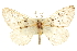  ( - CCDB-20815-G12)  @11 [ ] CreativeCommons - Attribution (2013) CBG Photography Group Centre for Biodiversity Genomics