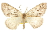  ( - CCDB-20815-H01)  @11 [ ] CreativeCommons - Attribution (2013) CBG Photography Group Centre for Biodiversity Genomics