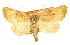  ( - CCDB-20816-E04)  @11 [ ] CreativeCommons - Attribution (2013) CBG Photography Group Centre for Biodiversity Genomics