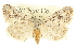  ( - CCDB-20816-G09)  @13 [ ] CreativeCommons - Attribution (2013) CBG Photography Group Centre for Biodiversity Genomics