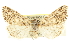  ( - CCDB-20816-G10)  @13 [ ] CreativeCommons - Attribution (2013) CBG Photography Group Centre for Biodiversity Genomics