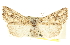  ( - CCDB-20816-G11)  @13 [ ] CreativeCommons - Attribution (2013) CBG Photography Group Centre for Biodiversity Genomics