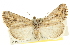  ( - CCDB-20816-G12)  @14 [ ] CreativeCommons - Attribution (2013) CBG Photography Group Centre for Biodiversity Genomics