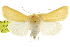  ( - CCDB-20817-D09)  @13 [ ] CreativeCommons - Attribution (2013) CBG Photography Group Centre for Biodiversity Genomics