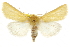  ( - CCDB-20817-D10)  @14 [ ] CreativeCommons - Attribution (2013) CBG Photography Group Centre for Biodiversity Genomics