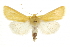  ( - CCDB-20817-D12)  @14 [ ] CreativeCommons - Attribution (2013) CBG Photography Group Centre for Biodiversity Genomics