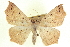  ( - CCDB-20818-C07)  @15 [ ] CreativeCommons - Attribution (2013) CBG Photography Group Centre for Biodiversity Genomics