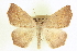  ( - CCDB-20818-C09)  @15 [ ] CreativeCommons - Attribution (2013) CBG Photography Group Centre for Biodiversity Genomics