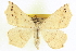  ( - CCDB-20818-C10)  @14 [ ] CreativeCommons - Attribution (2013) CBG Photography Group Centre for Biodiversity Genomics