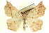  ( - CCDB-20818-C11)  @14 [ ] CreativeCommons - Attribution (2013) CBG Photography Group Centre for Biodiversity Genomics