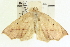  ( - CCDB-20818-D02)  @14 [ ] CreativeCommons - Attribution (2013) CBG Photography Group Centre for Biodiversity Genomics