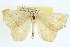  ( - CCDB-20818-D03)  @11 [ ] CreativeCommons - Attribution (2013) CBG Photography Group Centre for Biodiversity Genomics