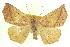  ( - CCDB-20818-D08)  @11 [ ] CreativeCommons - Attribution (2013) CBG Photography Group Centre for Biodiversity Genomics