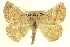  ( - CCDB-20818-D09)  @11 [ ] CreativeCommons - Attribution (2013) CBG Photography Group Centre for Biodiversity Genomics
