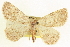  ( - CCDB-20818-E01)  @14 [ ] CreativeCommons - Attribution (2013) CBG Photography Group Centre for Biodiversity Genomics