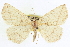  ( - CCDB-20818-E03)  @14 [ ] CreativeCommons - Attribution (2013) CBG Photography Group Centre for Biodiversity Genomics
