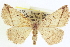  ( - CCDB-20818-E04)  @15 [ ] CreativeCommons - Attribution (2013) CBG Photography Group Centre for Biodiversity Genomics