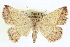  ( - CCDB-20818-E05)  @14 [ ] CreativeCommons - Attribution (2013) CBG Photography Group Centre for Biodiversity Genomics