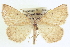  ( - CCDB-20818-E06)  @11 [ ] CreativeCommons - Attribution (2013) CBG Photography Group Centre for Biodiversity Genomics