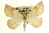  ( - CCDB-20818-E10)  @11 [ ] CreativeCommons - Attribution (2013) CBG Photography Group Centre for Biodiversity Genomics