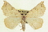  ( - CCDB-20818-E11)  @14 [ ] CreativeCommons - Attribution (2013) CBG Photography Group Centre for Biodiversity Genomics