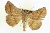  ( - CCDB-20818-E12)  @11 [ ] CreativeCommons - Attribution (2013) CBG Photography Group Centre for Biodiversity Genomics