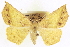  ( - CCDB-20818-F01)  @14 [ ] CreativeCommons - Attribution (2013) CBG Photography Group Centre for Biodiversity Genomics
