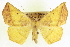  ( - CCDB-20818-F03)  @11 [ ] CreativeCommons - Attribution (2013) CBG Photography Group Centre for Biodiversity Genomics