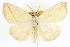  ( - CCDB-20818-F04)  @11 [ ] CreativeCommons - Attribution (2013) CBG Photography Group Centre for Biodiversity Genomics