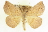  ( - CCDB-20818-F05)  @15 [ ] CreativeCommons - Attribution (2013) CBG Photography Group Centre for Biodiversity Genomics
