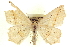 ( - CCDB-20818-F06)  @14 [ ] CreativeCommons - Attribution (2013) CBG Photography Group Centre for Biodiversity Genomics