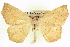  ( - CCDB-20818-F07)  @15 [ ] CreativeCommons - Attribution (2013) CBG Photography Group Centre for Biodiversity Genomics